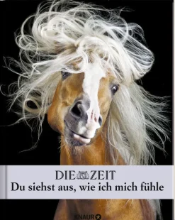 »Du siehst aus, wie ich mich fühle« -Buch