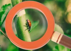 Entdeckergürtel »Discover«