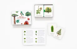 Memo-Spiel »Bäume und ihre Blätter«