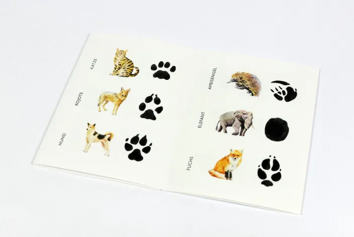 Memo-Spiel »Wilden Tieren auf der Spur - 25 Tiere und ihre Pfotenabdrücke«