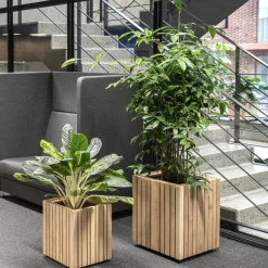 Pflanzgefäß »GrowBIG«