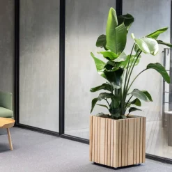 Pflanzgefäß »GrowBIG«