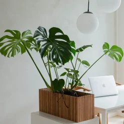 Pflanzgefäß »GrowWIDE«