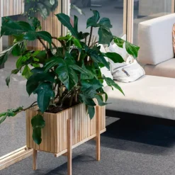 Pflanzgefäß »GrowWIDE«