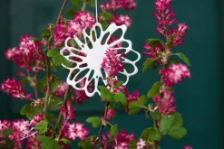 Porzellanblüten, 6er Set