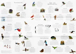 Puzzle »In 50 Vögeln um die Welt«