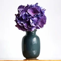 Werner Burri Vase W29B