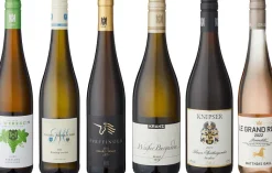 ZEIT-Weinedition »Pfalz«